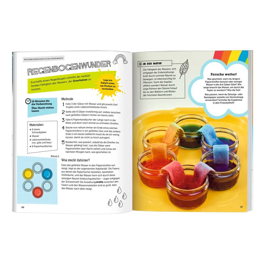 PhänoMINT Das große Buch der Experimente - Image 2