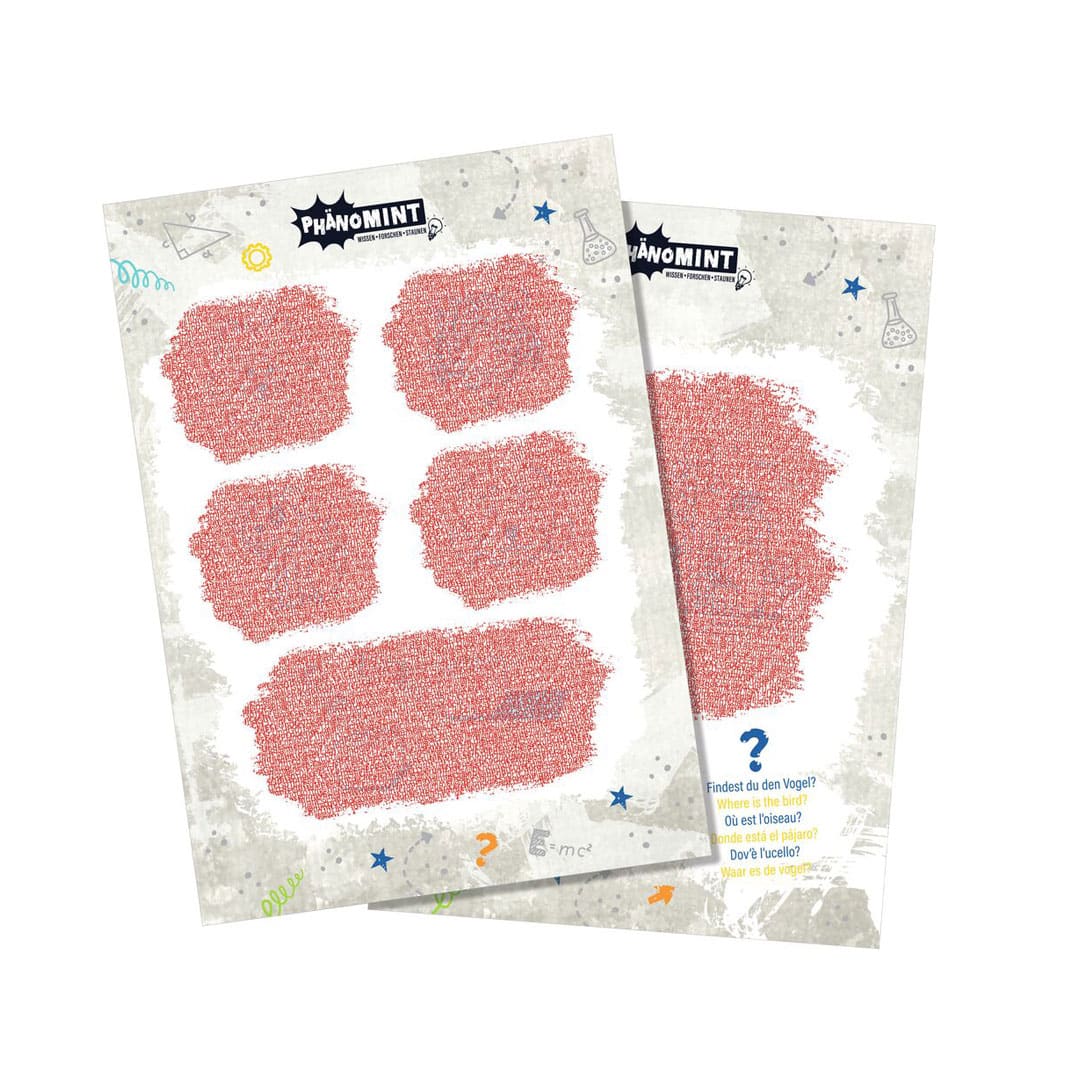 PhänoMINT Experimente mit Licht und Farbe - Image 7