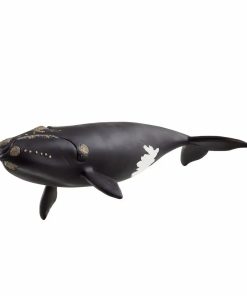 Schleich Nordatlantischer Glattwal